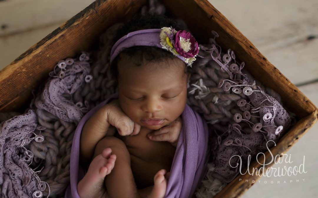 Studio newborn photography | Aria – 14 days old