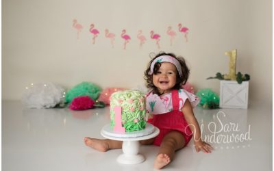 First Birthday Smash and a Splash!  | Sofia turns One!